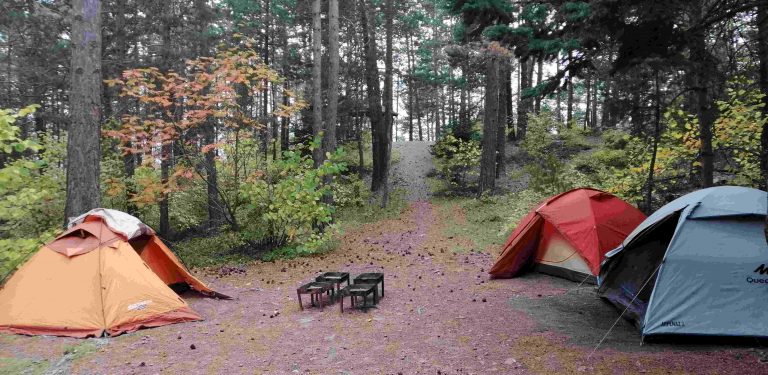 Gümüşhane Kent Ormanı Kamp