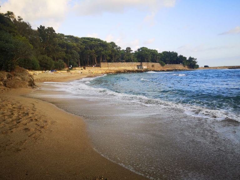Alanya İncekum Orman Kampı
